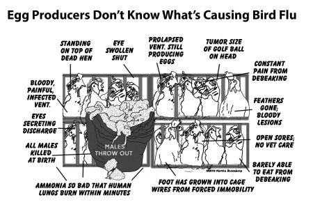 “Warning: Fight Back Against Radical Health Agendas!”