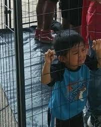 Image result for Donald Trump's immigration children prisons photos