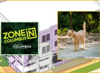 ZoneIn poster and cat