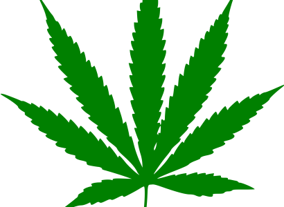 Pot leaf