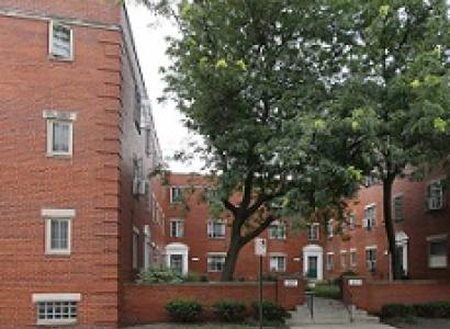 Red brick apartments with a big green tree in a courtyard in the middle