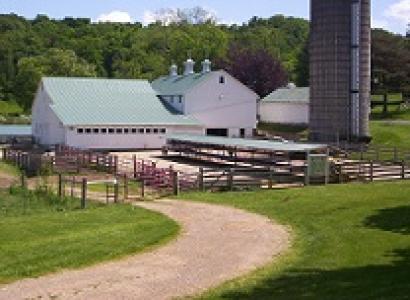 A barn, silo, fenced in yard, curvy road leading to it, grass on the sides and hill with trees in background