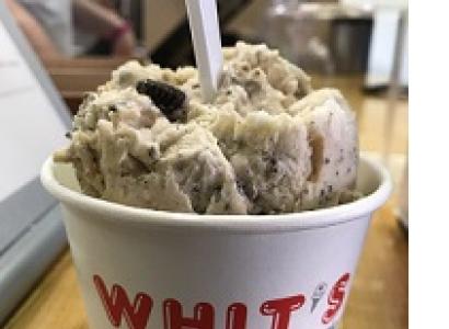 Round carton container with words Whit's in red on white with goopy brownish concoction inside like ice cream and a spoon sticking out the top