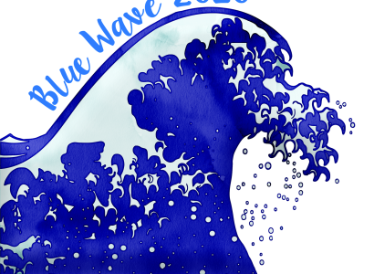 Hopes of a Blue Wave Sweeping Democrats to Power in US Senate Crash on Georgia's Shores