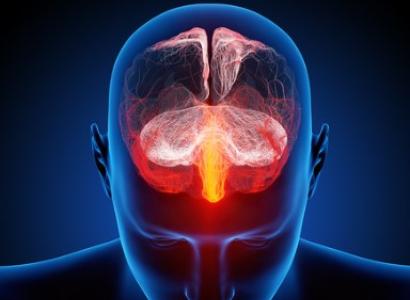 Colorful human brain 