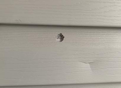 Bullet hole in house