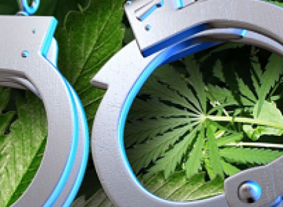 Silver handcuffs laying on green marijuana leaves