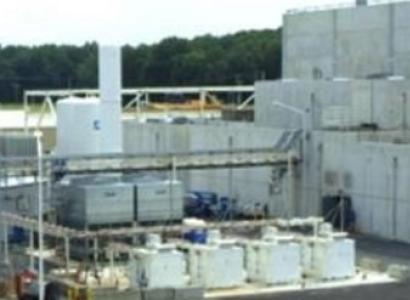 White building looking like a plant