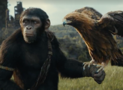 Ape with a hawk on his hand