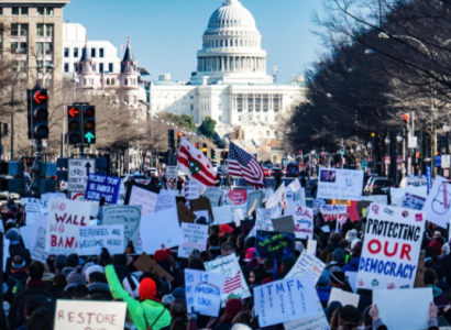 Protestors at the Capitol