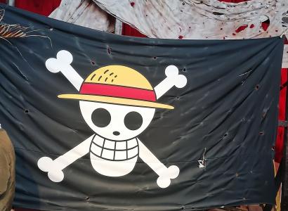 Straw Hat flag