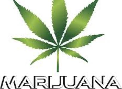 A big green leaf with 7 leaves, a pot leaf it is, with words MARIJUANA in capitals below