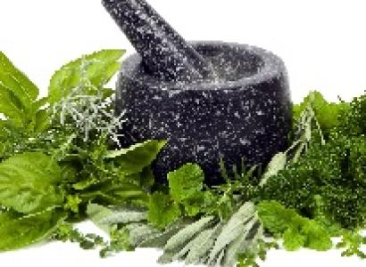 Black mortar and pestle with greenery around it