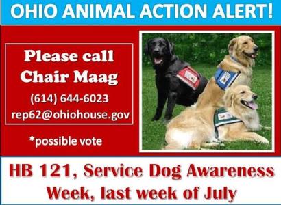 Action alert about dog bill