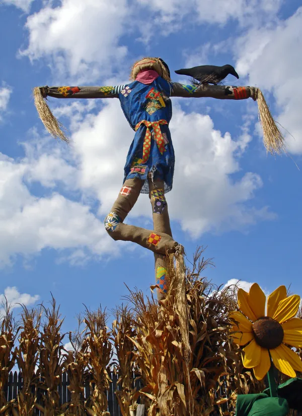 "Scarecrow Messiah" by EAWB is licensed under CC BY-NC-SA 2.0.