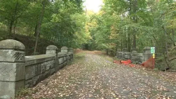 A green park