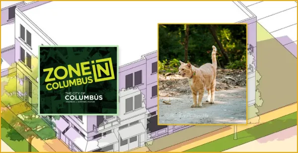 ZoneIn poster and cat