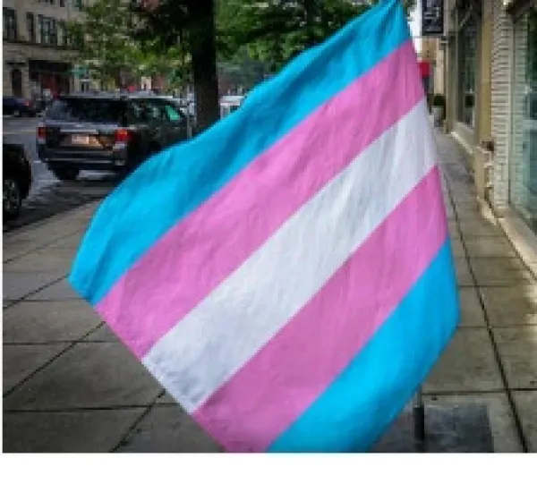 Flag waving with pastel blue, pink and white stripes