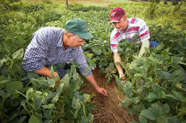 Two white male farmers in a field of crops