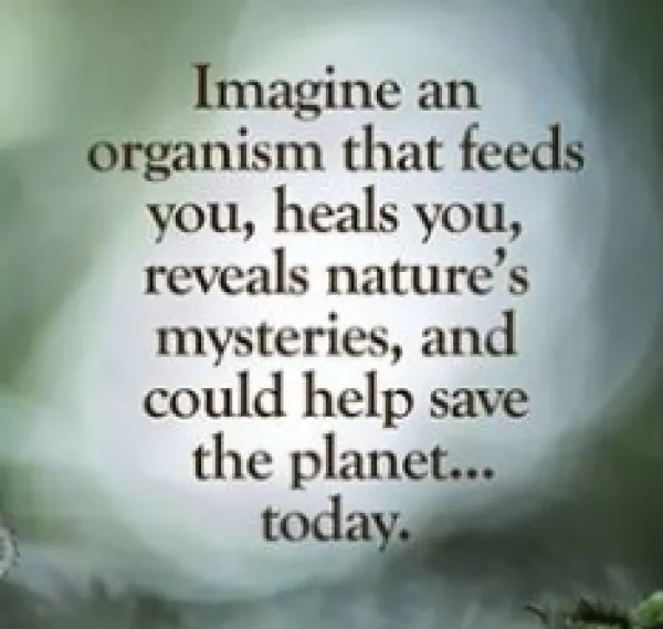 The words Imagine an organism that feeds you, heals you, reveal's nature's mysteries and could help save the planet