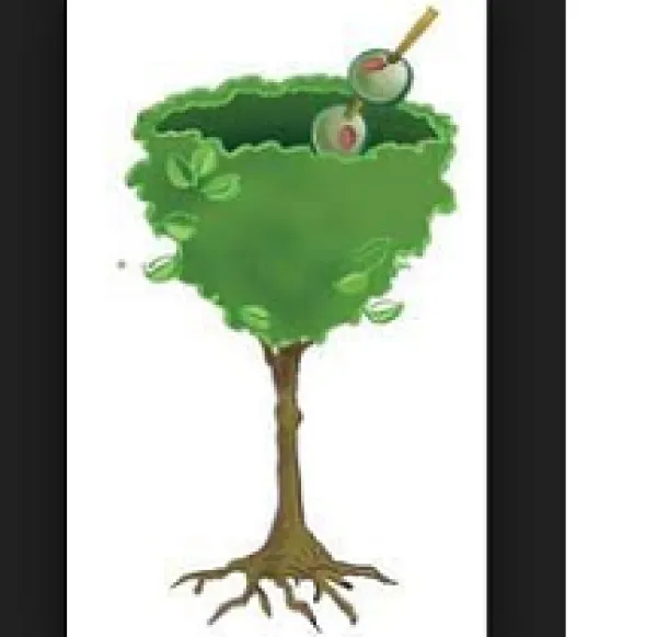 Drawing of a martini made out of a tree trunk and leaves at top with olives