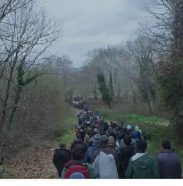 Lots of people from the back as they walk outside in a big long line going off into the distance between trees and overcast sky