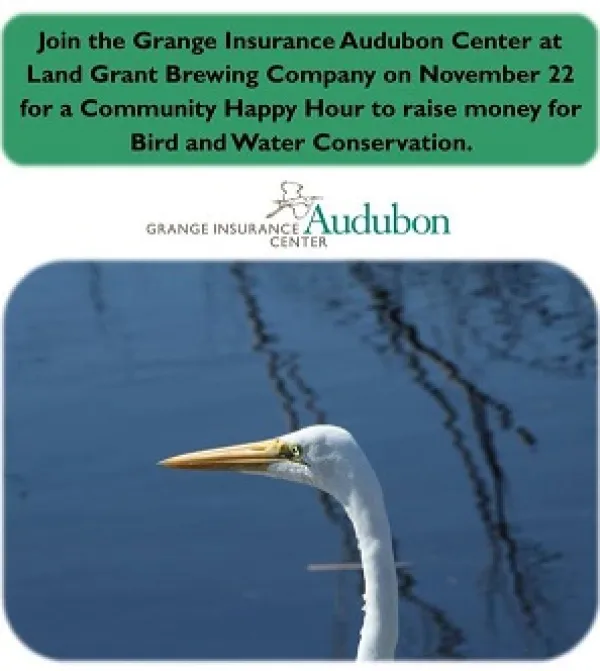 A photo of a white bird with a long skinny neck and long yellow beak against a blue sky and words at top