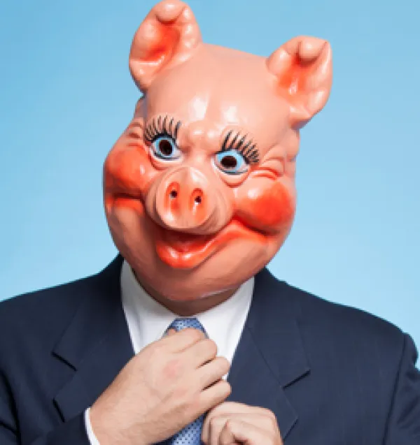 Pig businessman
