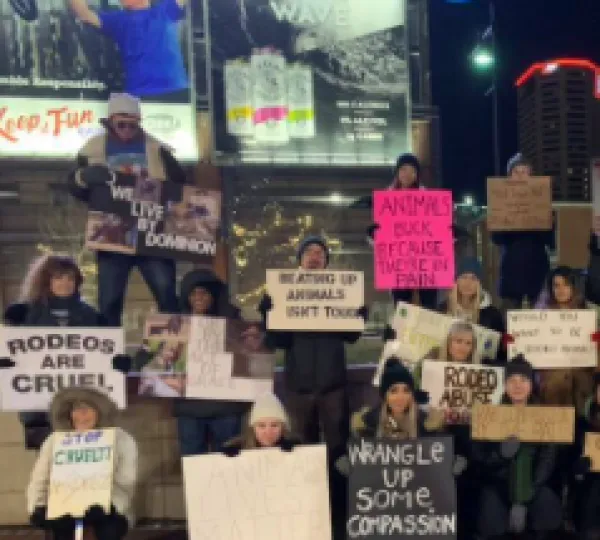 Rodeo protest
