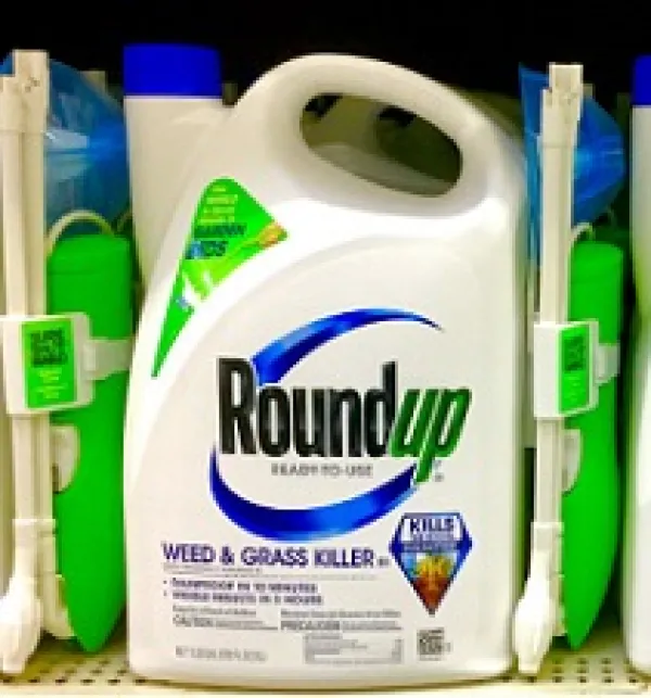 White bottle on a shelf with word Roundup on it