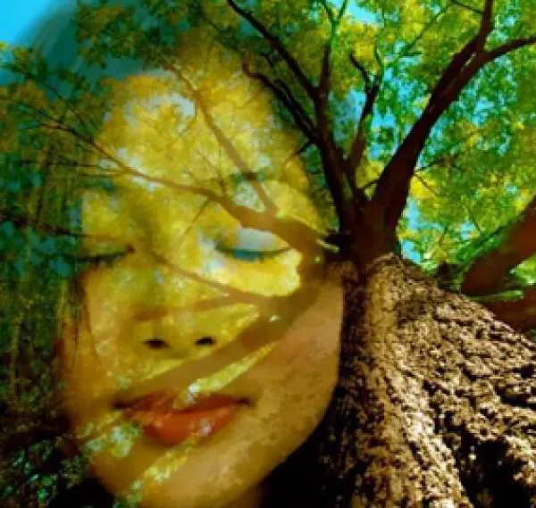 Woman's face against a tree
