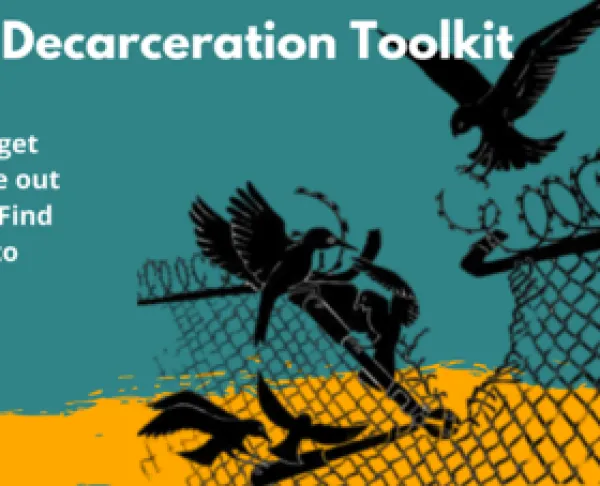 Birds around a barbed wire fence that has been broken down