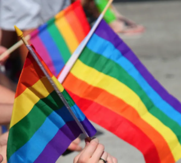 Rainbow flags