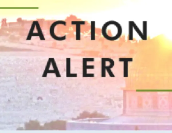Action Alert