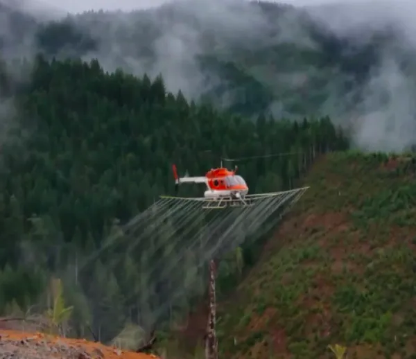 Helicopter spraying the ground
