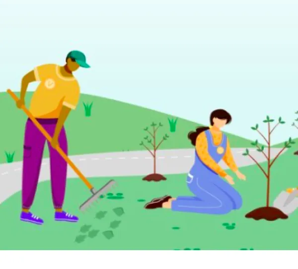 People planting trees