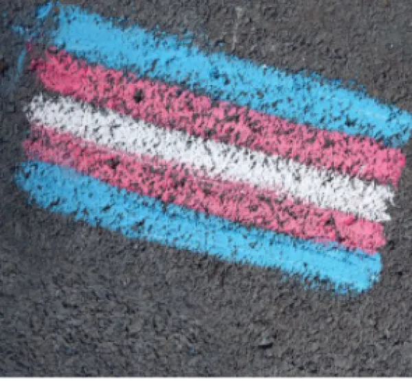 Trans flag