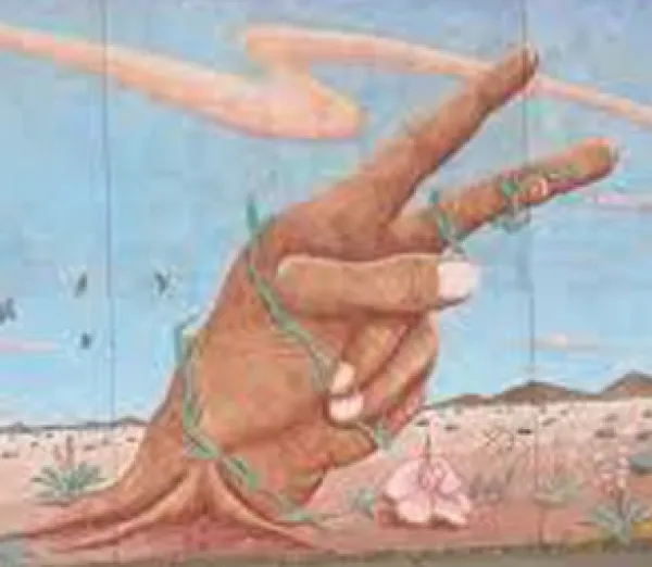 Hand giving peace sign