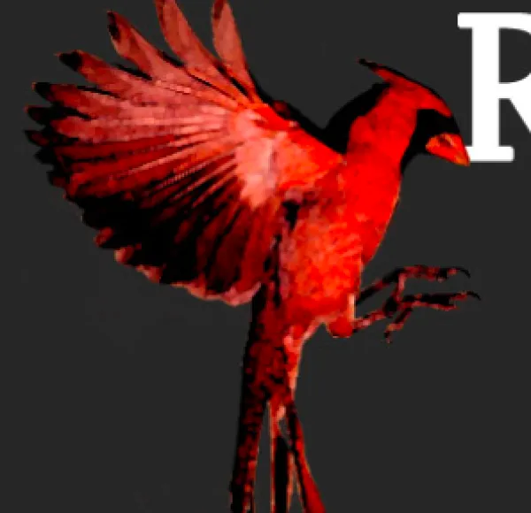 Redbird