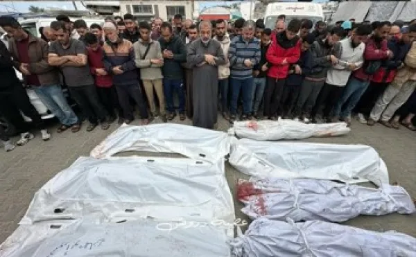 People standing hear dead bodies