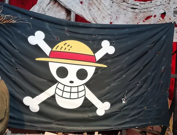 Straw Hat flag