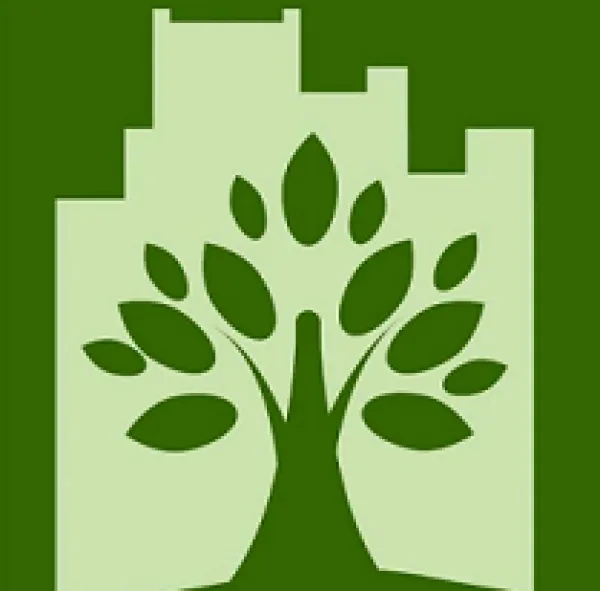 Grass green background and tree against a white building