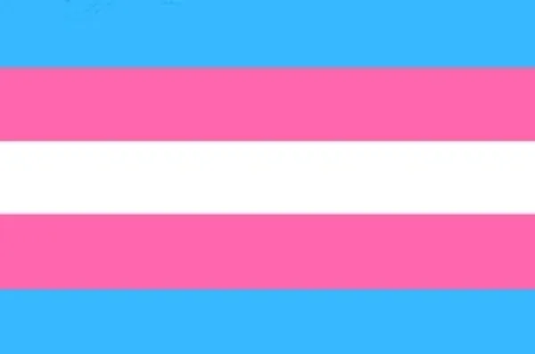 Trans flag