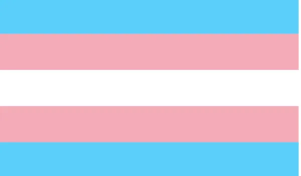 Pink, white and light blue striped flag, the trans flag
