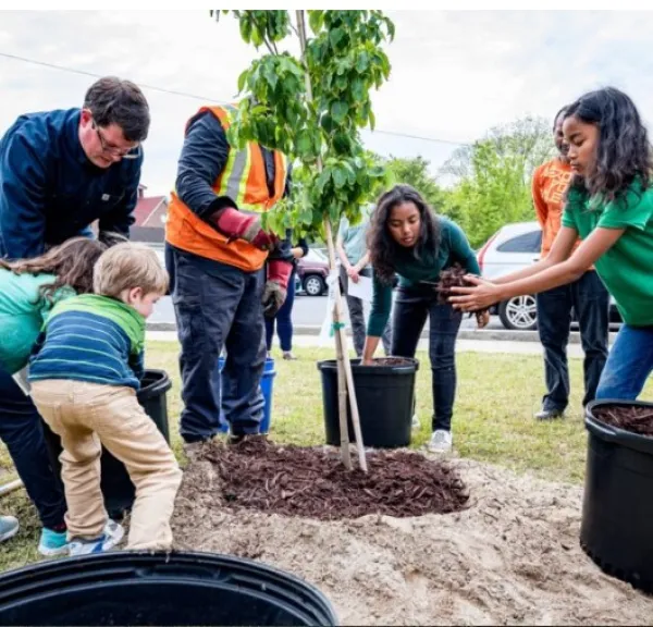 Young people planting trees