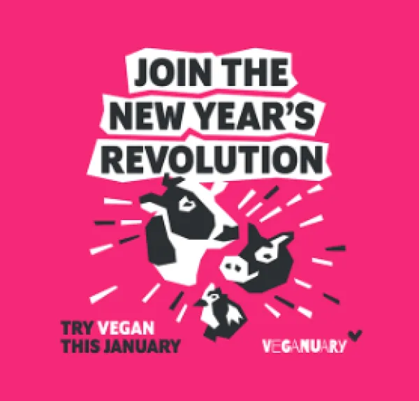 Cows and words Join the New Year's Revolution
