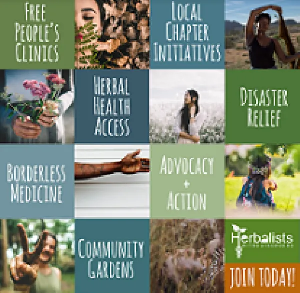 Lots of squares making up one big picture some with photos of people and animals or plants and some with words