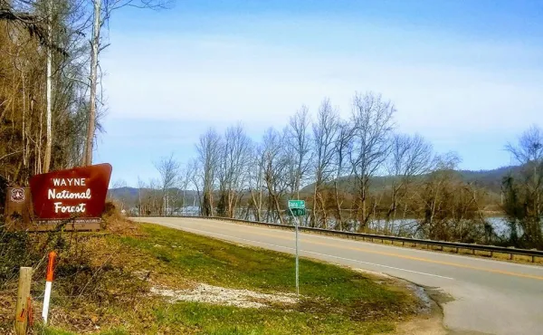 Road leading into forest with sign saying Wayne National Forest
