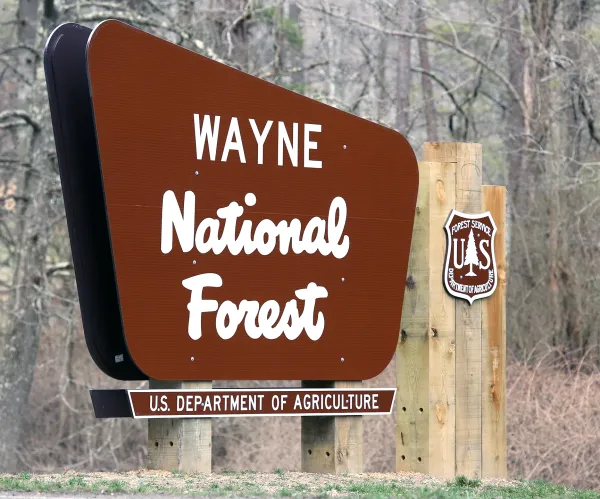 Brown sign on pole in woods saying Wayne National Forest