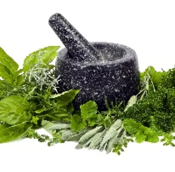 Black mortar and pestle with greenery around it